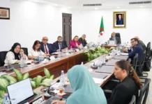 SoutH2 Corridor : Réunion préparatoire de la prochaine rencontre des ministres de l’Energie des pays concernés par le projet