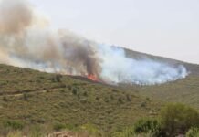 Algérie : 88 incendies recensés, 43 toujours en cours