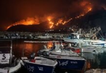 Algérie : trois jours de deuil national après les incendies meurtriers