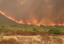 Algérie : 22 incendies toujours en cours dans plusieurs wilayas