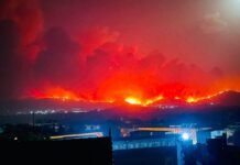 Algérie : Au moins 12 morts dans les incendies de forêts