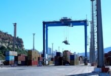 Port d’Oran : trois nouvelles grues RTG entrent en service au terminal à conteneurs