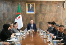 Algérie : vers un partenariat avec China Baowu pour réhabiliter et développer le complexe sidérurgique d’El Hadjar