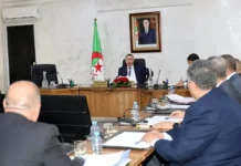 Sayoud préside une séance de travail consacrée à l’évaluation du système d’information national d’immatriculation des véhicules