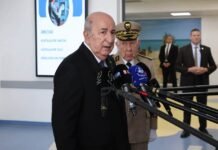 Incendies en Algérie : le président Tebboune évoque la piste criminelle