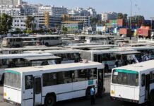 Retrait des bus de 30 ans et plus : Alger fixe un ultimatum aux transporteurs