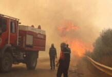 Algérie : 67 incendies toujours en cours à 20h