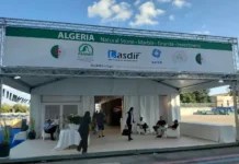 Salon international Marmomac : cinq entreprises algériennes représentent la filière du marbre en Italie