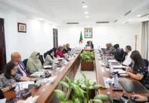 Adjal préside une réunion sur la rationalisation de la consommation de gaz et la coopération africaine