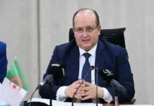 Algérie-Mali : Sifi Ghrieb souligne la disposition de l’Algérie à réactiver les mécanismes de coopération institutionnelle