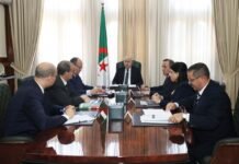 Programmes prévisionnels d’importation : des mesures contre les auteurs de fausses déclarations