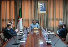 Terres rares de l’Ahaggar : Kamel Baddari réunit des chercheurs du MIT et de l’USTHB