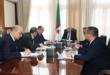 Programmes prévisionnels d’importation : des mesures contre les auteurs de fausses déclarations Programmes prévisionnels d'importation : des mesures contre les auteurs de fausses déclarations