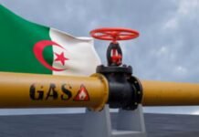 Gaz : la République tchèque veut doubler ses achats auprès de l’Algérie