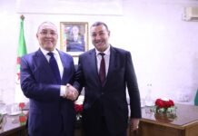 Gouvernement : Brahim Merad nommé ministre de l’Intérieur, Saïd Sayoud ministre des Transports