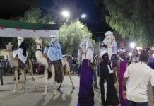 Ouverture du premier Festival international algérien de l’art rupestre à Djanet