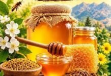 Tizi Ouzou : le miel et la plaquemine au programme de deux rendez-vous agricoles