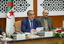 Énergie : 123,4 milliards de dinars prévus pour le budget 2027