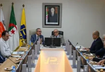 Industrie automobile : Naftal et Stellantis Algérie examinent les opportunités de renforcement du partenariat