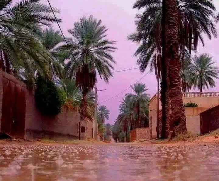 Pluies samedi et dimanche sur plusieurs wilayas du Sud
