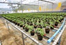 Le PLF 2027 prévoit de réduire à 9% le taux de la TVA sur certains produits destinés à l’usage agricole